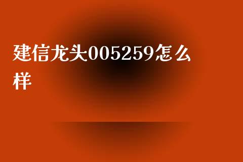 建信龙头005259怎么样_https://wap.qdlswl.com_理财投资_第1张