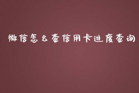 微信怎么查信用卡进度查询_https://wap.qdlswl.com_全球经济_第1张