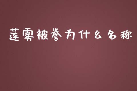 莲雾被誉为什么名称_https://wap.qdlswl.com_证券新闻_第1张