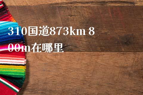 310国道873km 800m在哪里_https://wap.qdlswl.com_全球经济_第1张