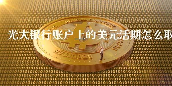 光大银行账户上的美元活期怎么取_https://wap.qdlswl.com_理财投资_第1张