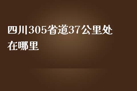 四川305省道37公里处在哪里_https://wap.qdlswl.com_理财投资_第1张