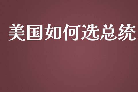 美国如何选总统_https://wap.qdlswl.com_证券新闻_第1张