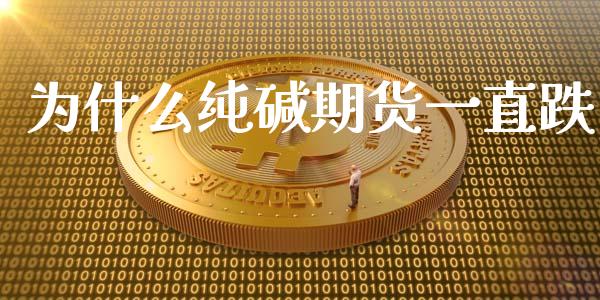 为什么纯碱期货一直跌_https://wap.qdlswl.com_理财投资_第1张