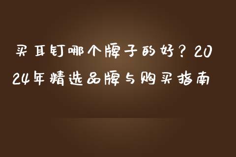 买耳钉哪个牌子的好？2024年精选品牌与购买指南_https://wap.qdlswl.com_理财投资_第1张