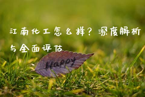 江南化工怎么样？深度解析与全面评估_https://wap.qdlswl.com_全球经济_第1张