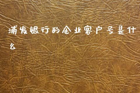 浦发银行的企业客户号是什么_https://wap.qdlswl.com_全球经济_第1张