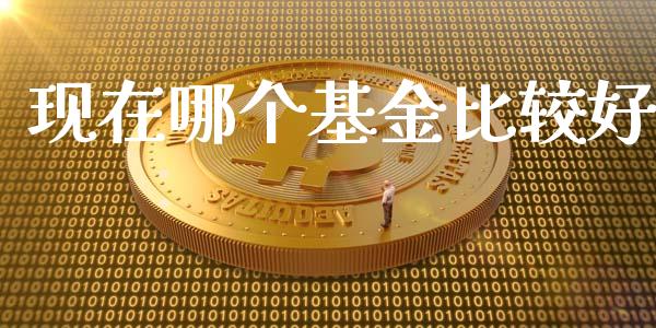 现在哪个基金比较好_https://wap.qdlswl.com_财经资讯_第1张