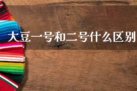 大豆一号和二号什么区别_https://wap.qdlswl.com_理财投资_第1张