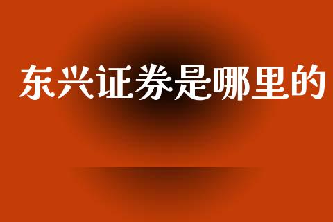 东兴证券是哪里的_https://wap.qdlswl.com_证券新闻_第1张