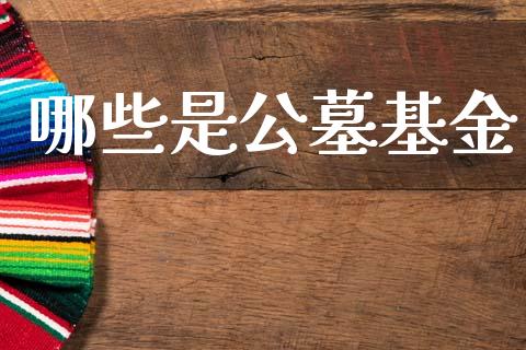 哪些是公墓基金_https://wap.qdlswl.com_证券新闻_第1张
