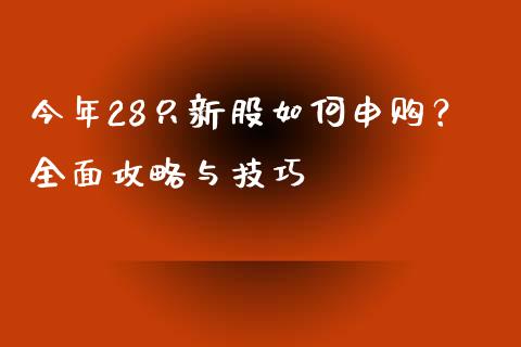 今年28只新股如何申购？全面攻略与技巧_https://wap.qdlswl.com_理财投资_第1张
