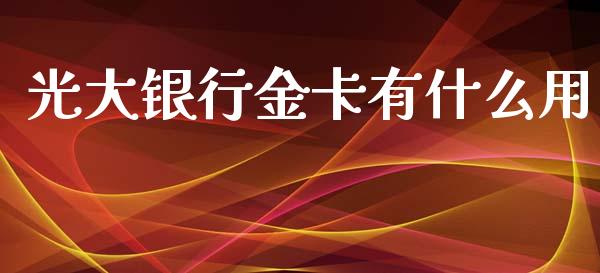 光大银行金卡有什么用_https://wap.qdlswl.com_证券新闻_第1张