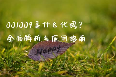 001009是什么代码？全面解析与应用指南_https://wap.qdlswl.com_财经资讯_第1张