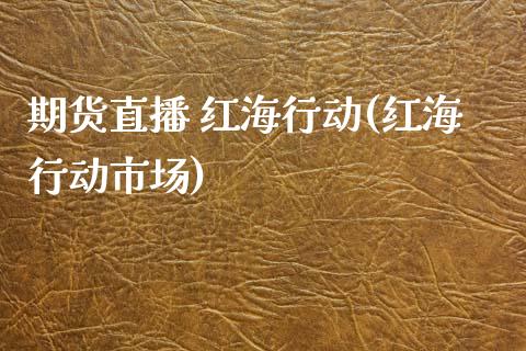 期货直播 红海行动(红海行动市场)_https://wap.qdlswl.com_全球经济_第1张