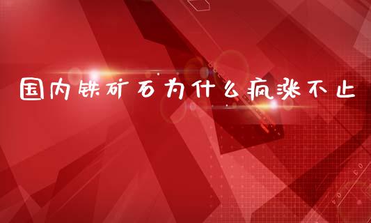 国内铁矿石为什么疯涨不止_https://wap.qdlswl.com_理财投资_第1张