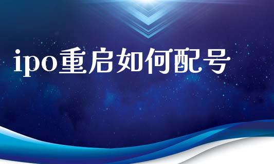 ipo重启如何配号_https://wap.qdlswl.com_理财投资_第1张