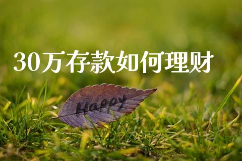 30万存款如何理财_https://wap.qdlswl.com_财经资讯_第1张