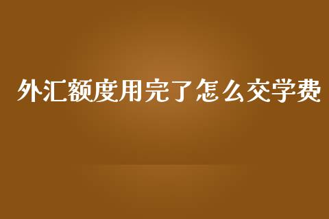 外汇额度用完了怎么交学费_https://wap.qdlswl.com_理财投资_第1张