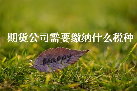 期货公司需要缴纳什么税种_https://wap.qdlswl.com_全球经济_第1张