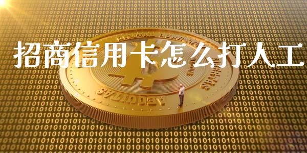 招商信用卡怎么打人工_https://wap.qdlswl.com_理财投资_第1张