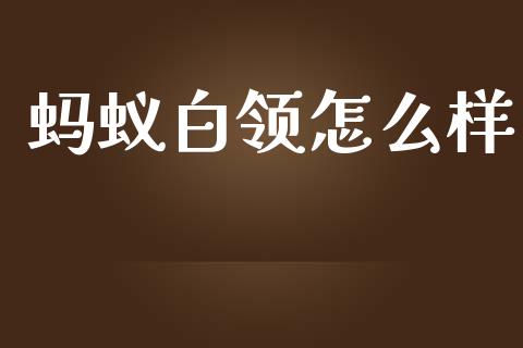 蚂蚁白领怎么样_https://wap.qdlswl.com_证券新闻_第1张