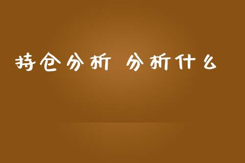 持仓分析 分析什么_https://wap.qdlswl.com_理财投资_第1张