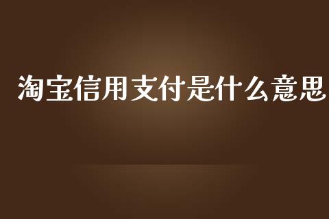 淘宝信用支付是什么意思_https://wap.qdlswl.com_全球经济_第1张