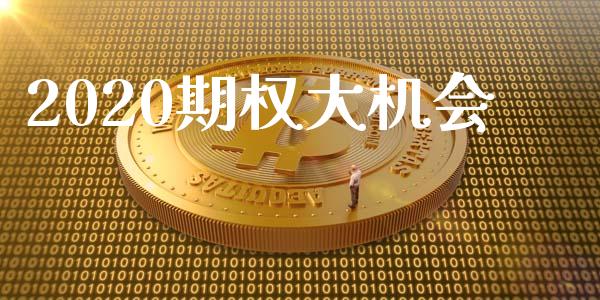 2020期权大机会_https://wap.qdlswl.com_财经资讯_第1张