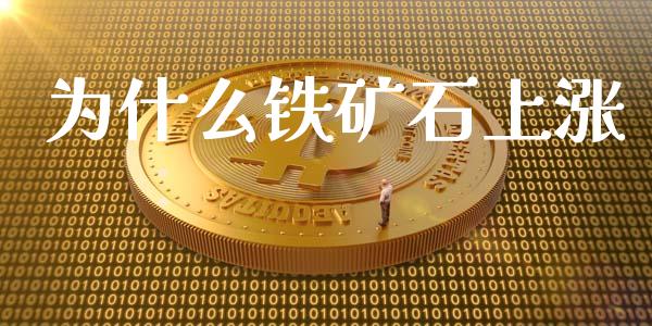 为什么铁矿石上涨_https://wap.qdlswl.com_全球经济_第1张