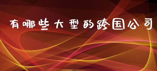 有哪些大型的跨国公司_https://wap.qdlswl.com_财经资讯_第1张