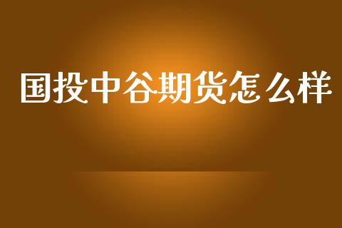 国投中谷期货怎么样_https://wap.qdlswl.com_财经资讯_第1张