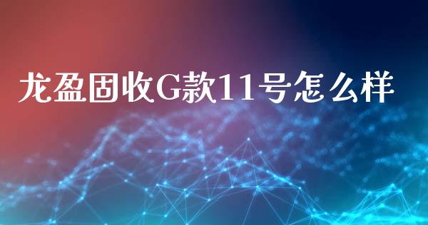 龙盈固收G款11号怎么样_https://wap.qdlswl.com_全球经济_第1张