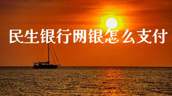 民生银行网银怎么支付_https://wap.qdlswl.com_证券新闻_第1张