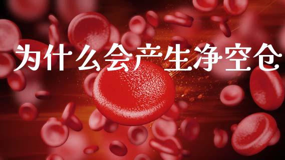 为什么会产生净空仓_https://wap.qdlswl.com_财经资讯_第1张