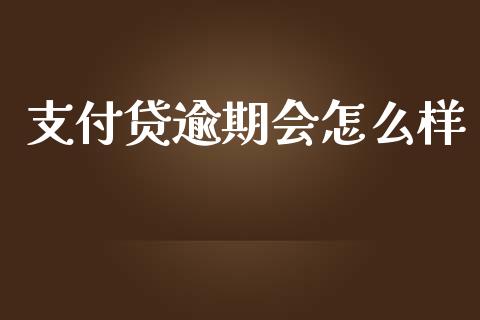 支付贷逾期会怎么样_https://wap.qdlswl.com_全球经济_第1张