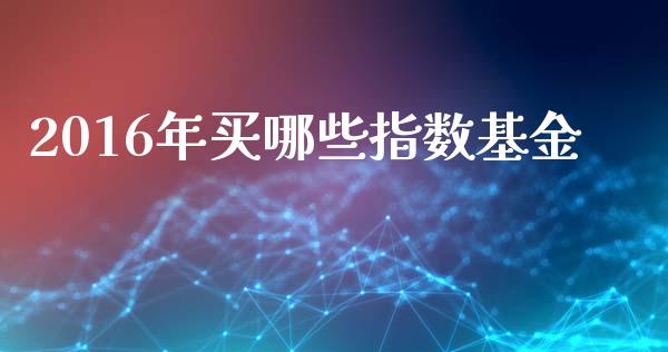 2016年买哪些指数基金_https://wap.qdlswl.com_财经资讯_第1张