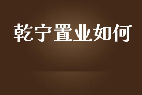 乾宁置业如何_https://wap.qdlswl.com_证券新闻_第1张