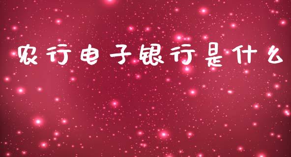 农行电子银行是什么_https://wap.qdlswl.com_理财投资_第1张