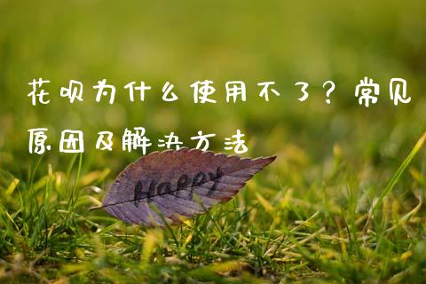 花呗为什么使用不了？常见原因及解决方法_https://wap.qdlswl.com_证券新闻_第1张