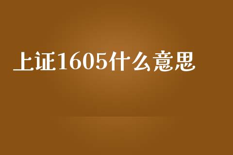 上证1605什么意思_https://wap.qdlswl.com_理财投资_第1张