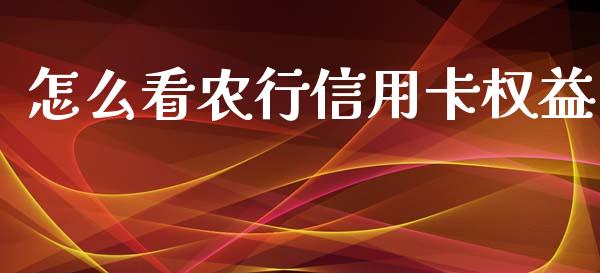 怎么看农行信用卡权益_https://wap.qdlswl.com_证券新闻_第1张