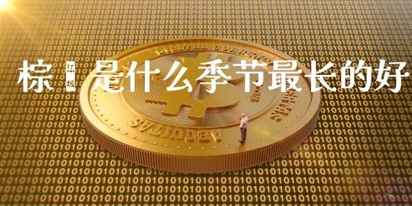 棕榈是什么季节最长的好_https://wap.qdlswl.com_全球经济_第1张