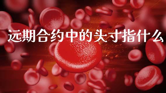 远期合约中的头寸指什么_https://wap.qdlswl.com_证券新闻_第1张