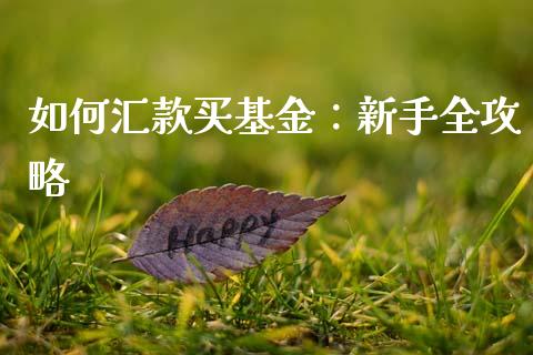 如何汇款买基金：新手全攻略_https://wap.qdlswl.com_理财投资_第1张