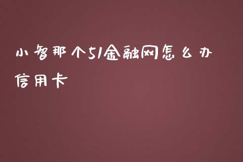 小智那个51金融网怎么办信用卡_https://wap.qdlswl.com_全球经济_第1张