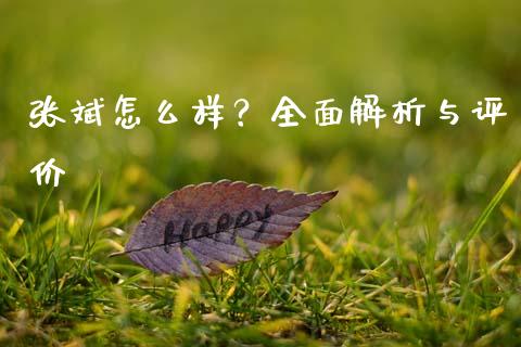 张斌怎么样？全面解析与评价_https://wap.qdlswl.com_财经资讯_第1张