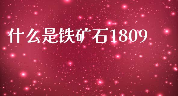 什么是铁矿石1809_https://wap.qdlswl.com_全球经济_第1张