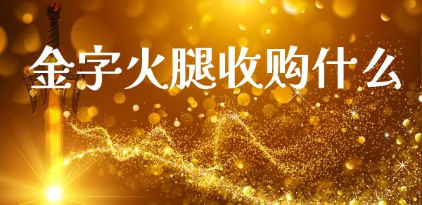 金字火腿收购什么_https://wap.qdlswl.com_理财投资_第1张