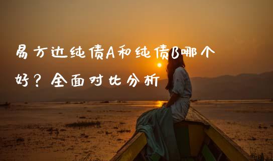 易方达纯债A和纯债B哪个好？全面对比分析_https://wap.qdlswl.com_全球经济_第1张